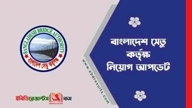 Bangladesh Bridge Authority Job Circular 2022
